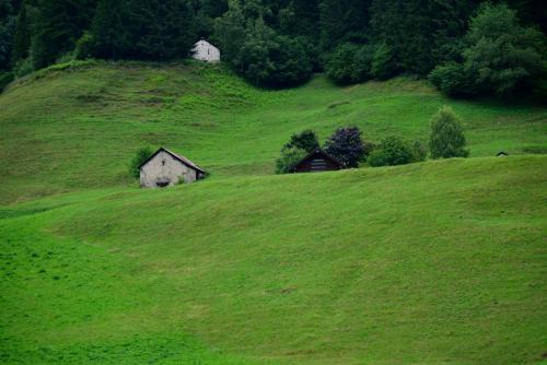 Paesaggio-13