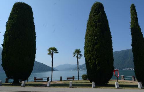Lungolago