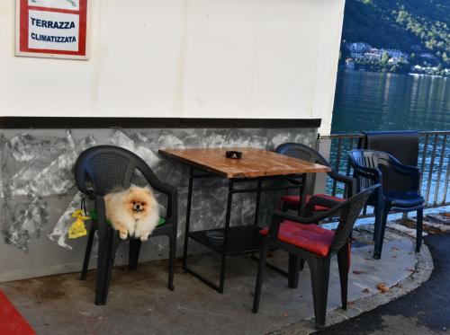 Terrazza climatizzata