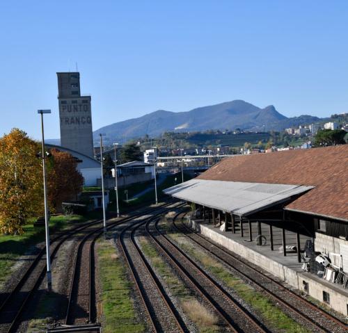 Punto franco merci