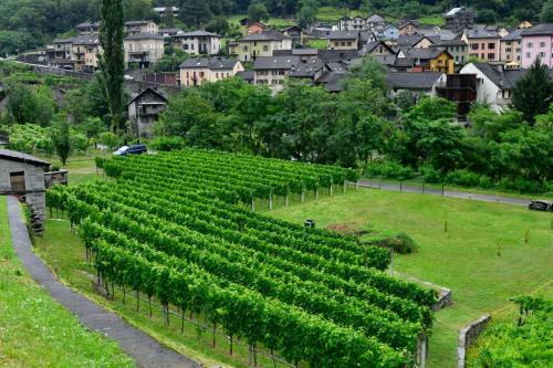 Paesaggio-3