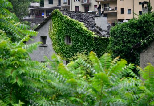 Paesaggio-5