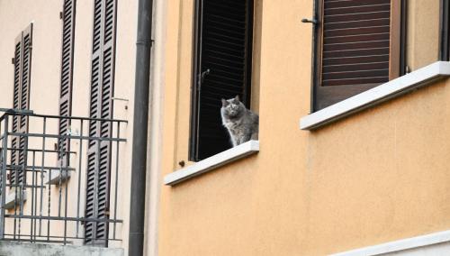 Dalla finestra
